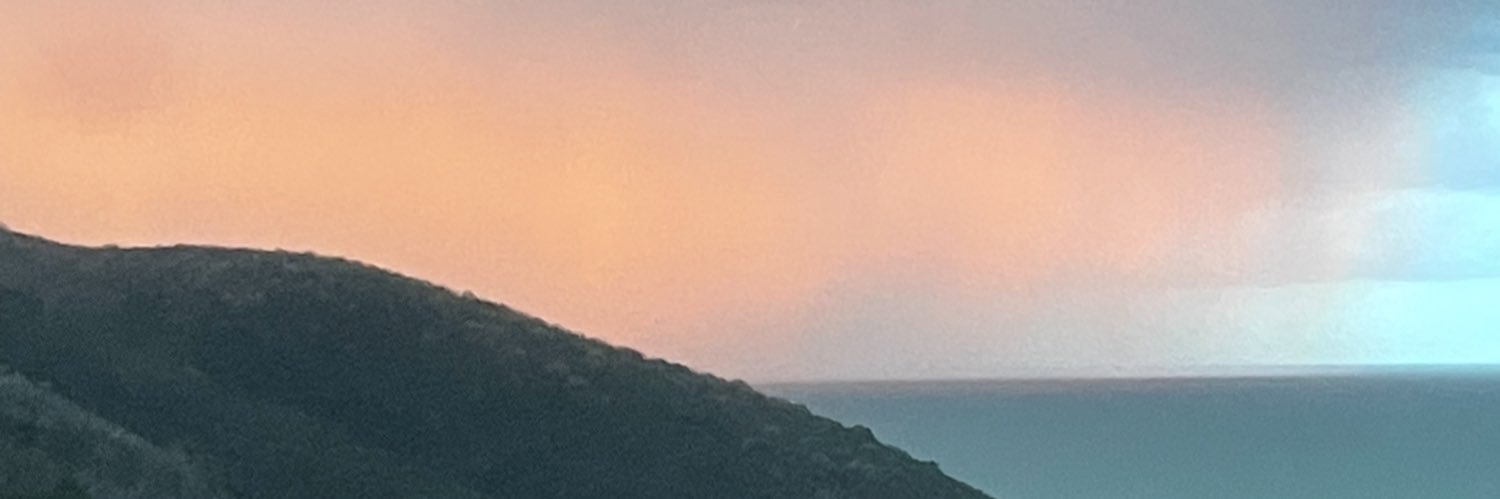 CatExhausted's profile banner image
