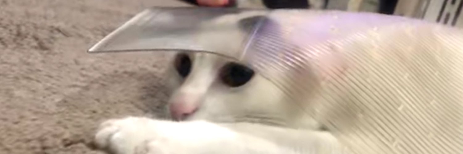 SimbaNalaJo's profile banner image