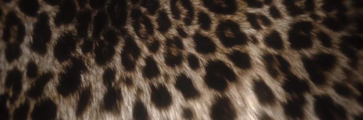 ☆☆☆ banner