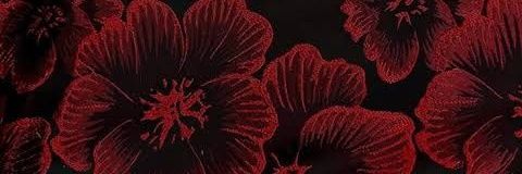 _plakushka_'s profile banner image