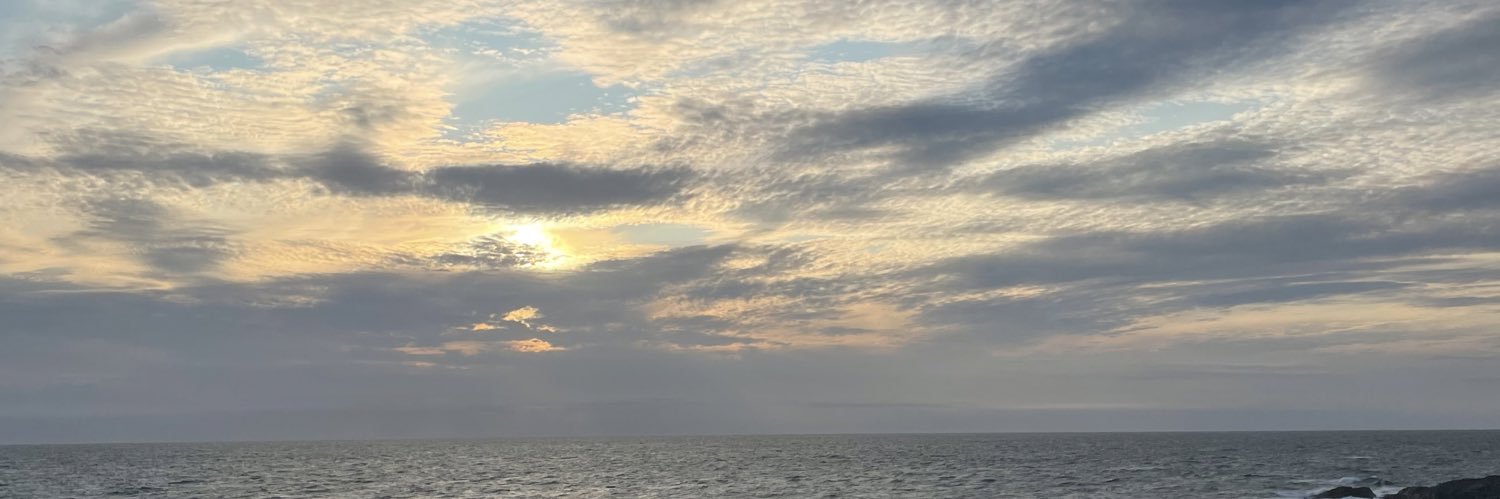 eevieerin's profile banner image
