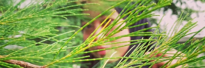 Qmyra_'s profile banner image
