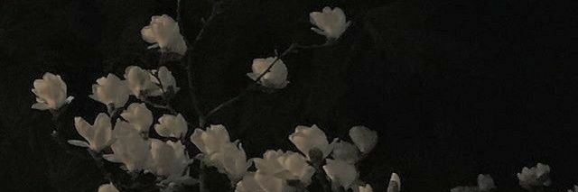 mmew_jja's profile banner image