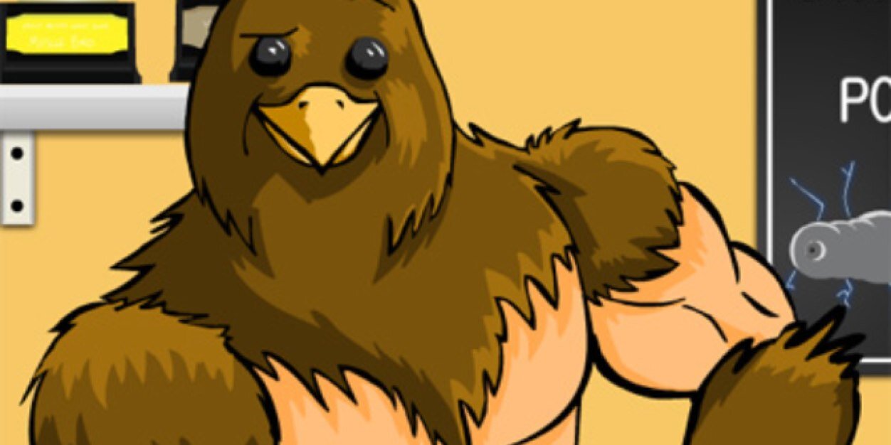 Bi7rrd's profile banner image