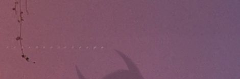 Ori || 🍉 banner