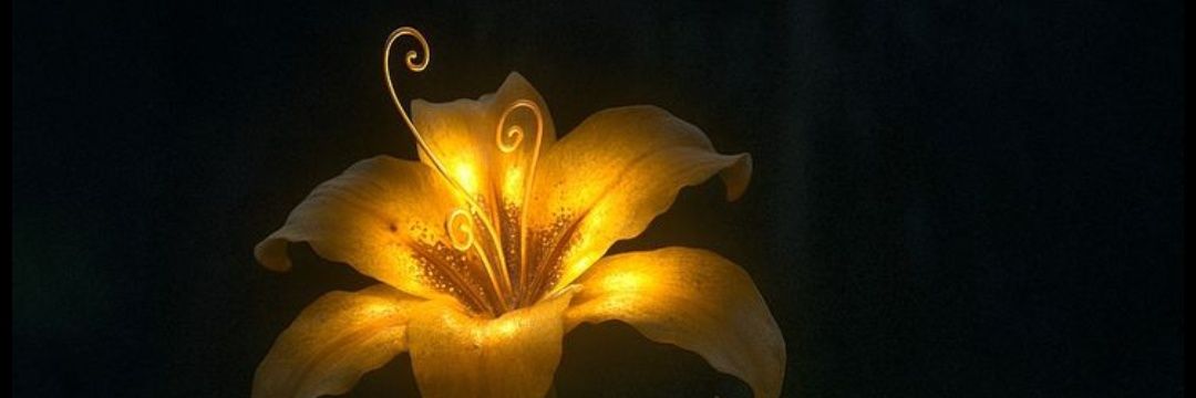 Folded_Fables's profile banner image