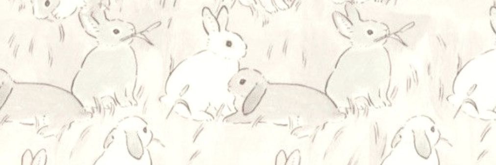 aria ⭐️ (doe) banner