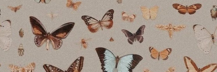 paoolaleon's profile banner image
