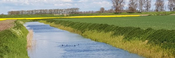 koemanpeter Profile Banner
