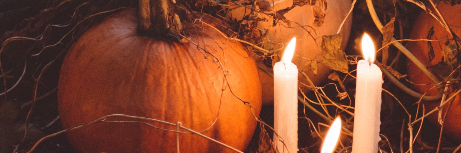 Ash🆘🇺🇸🏳️‍🌈🇵🇸🇲🇽 banner