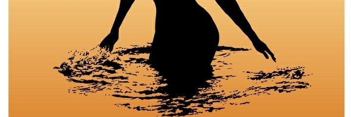 T0Psignal's profile banner image