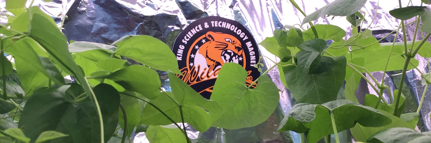 Wildcat1 banner