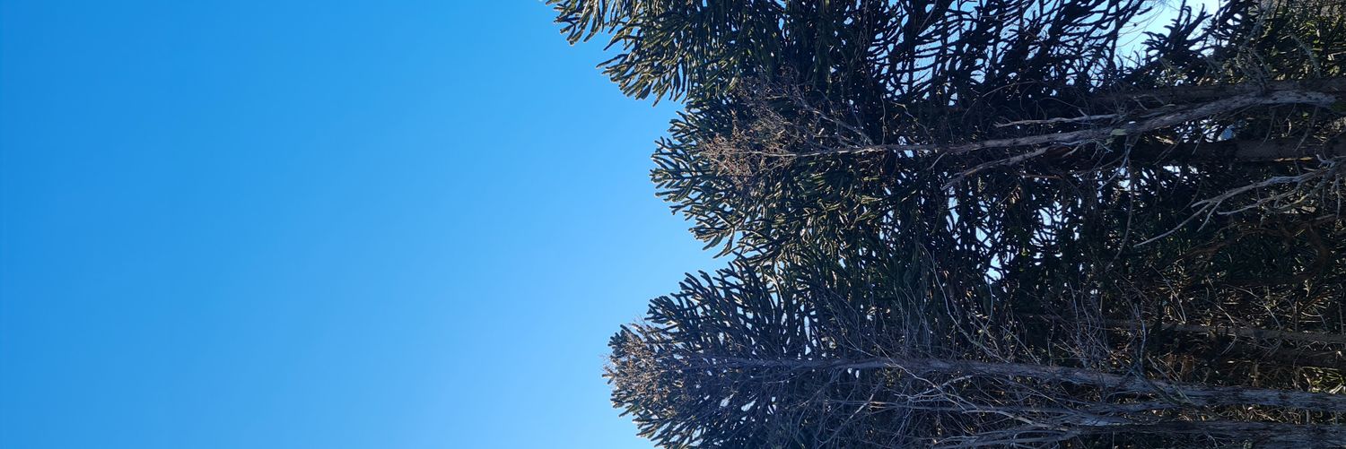 Max S24U banner