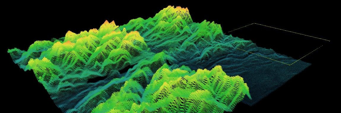 @nullagent@partyon.xyz ☂️ banner