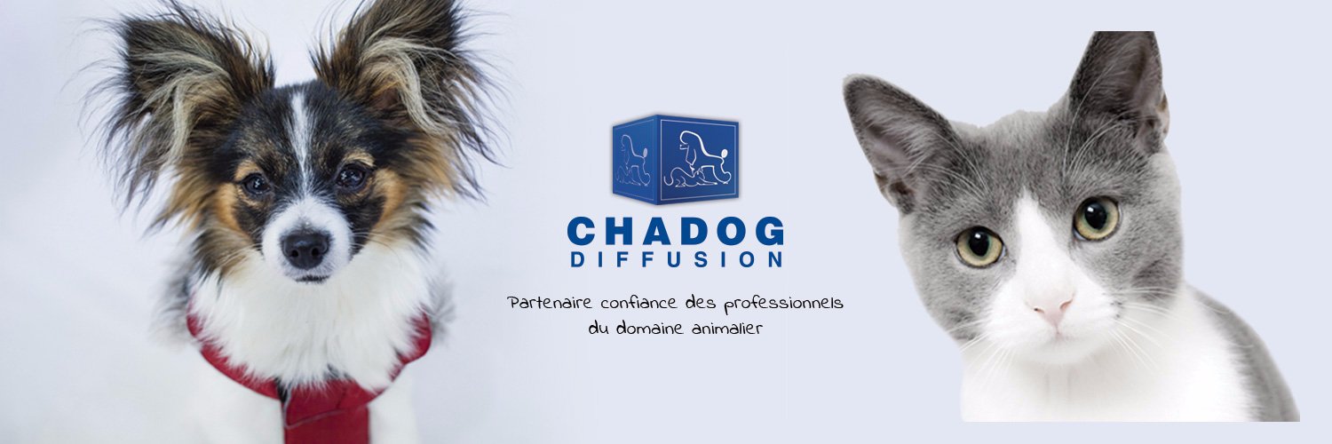 ChadogDiffusion's profile banner image