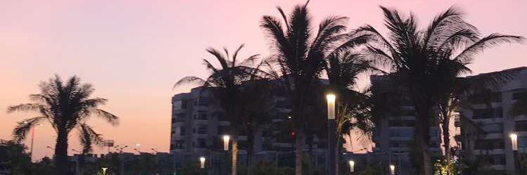 foor331's profile banner image