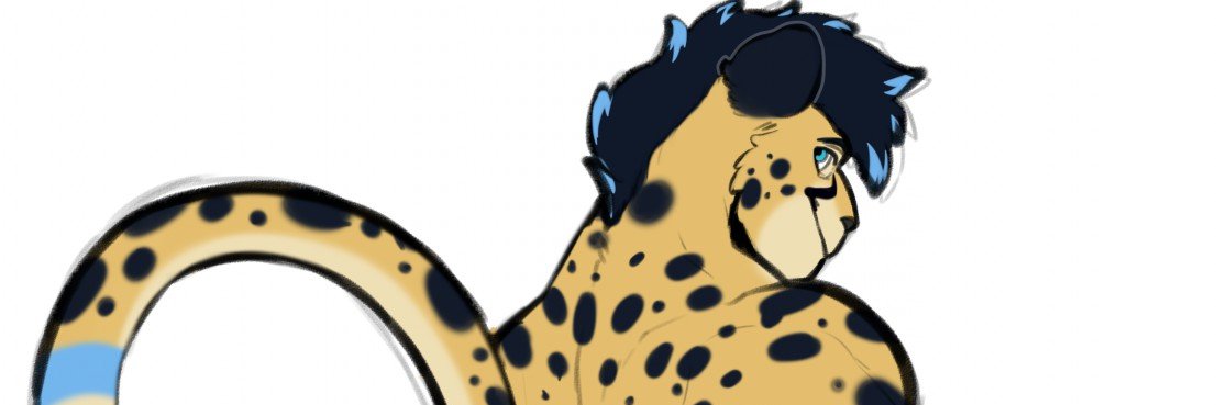 CheershAd's profile banner image