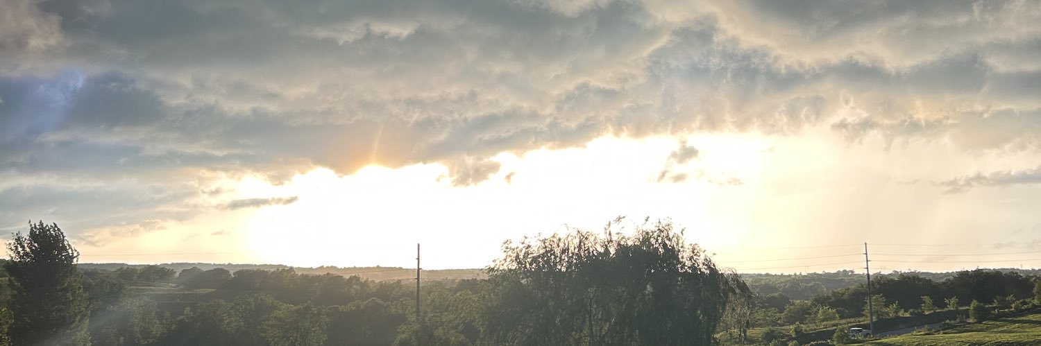 StealthCanine36's profile banner image