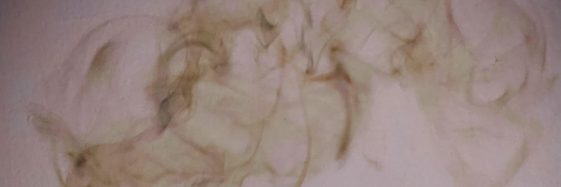 CelestialEwe's profile banner image