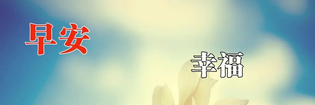 bgn1250 banner