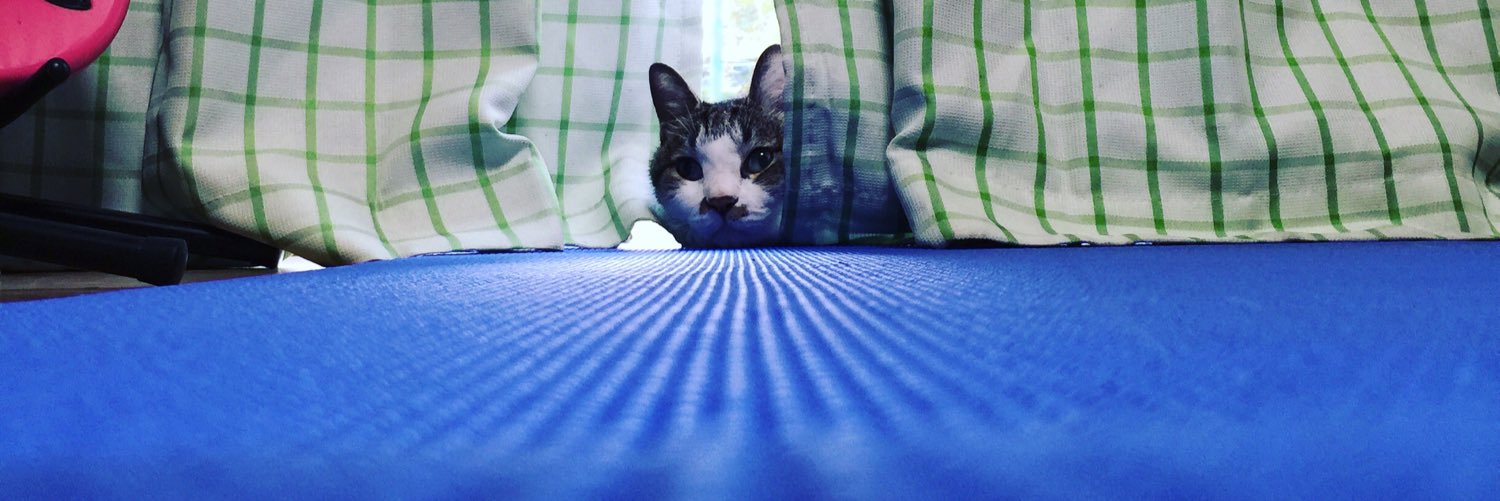 sweeper_jiji's profile banner image