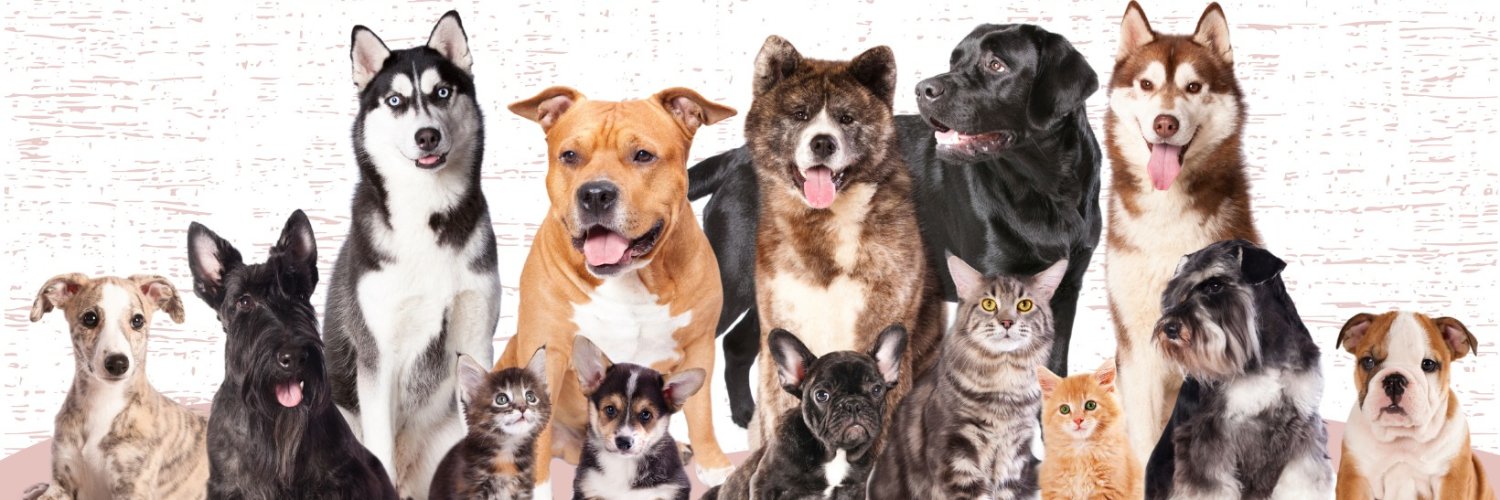 NaturalPet_Shop's profile banner image