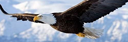 Victor Oaktree banner