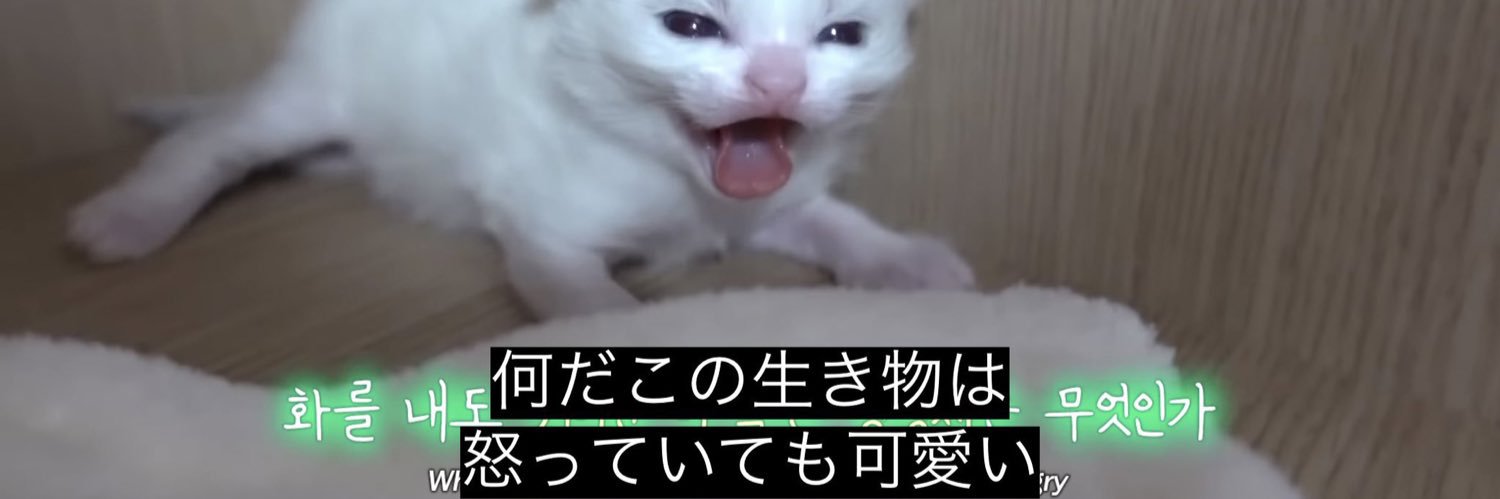 発達に振り回される社不ちゃん banner