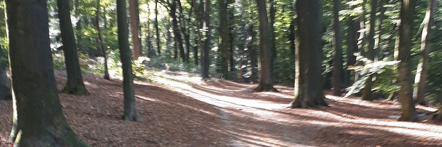 berryvanhouten's profile banner image