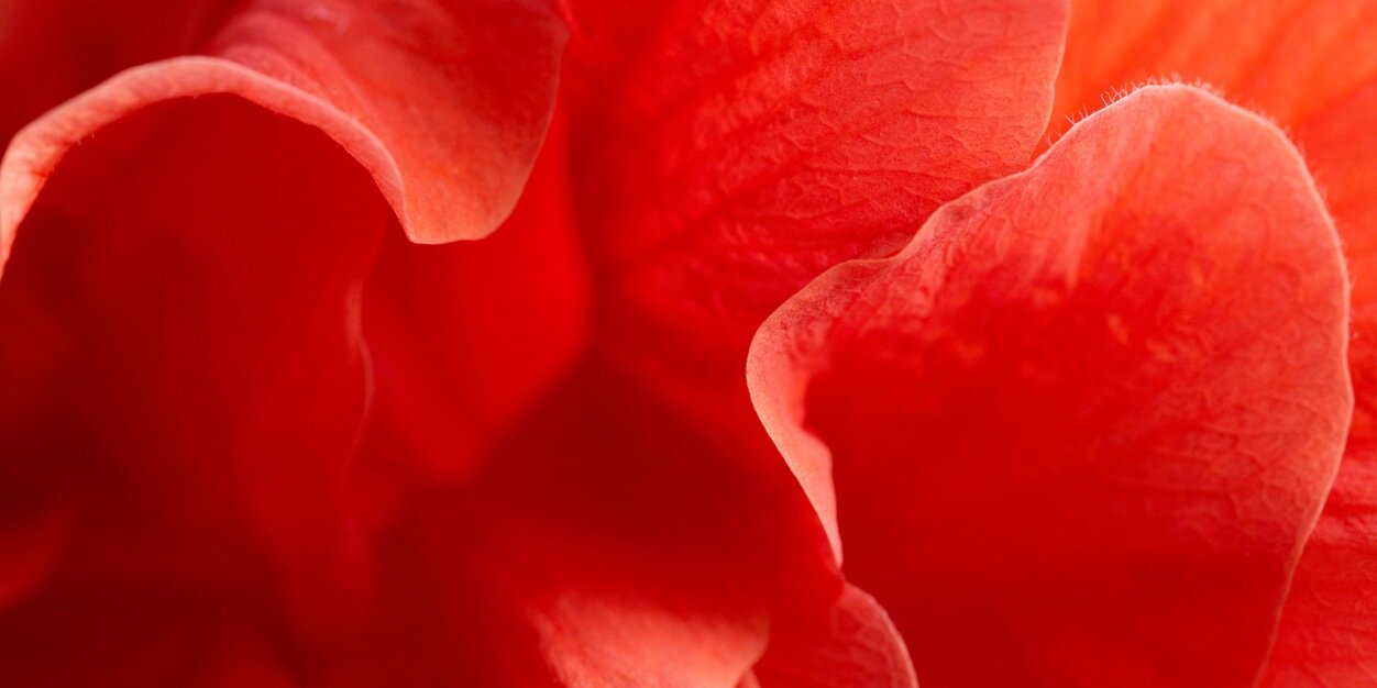 Monday_LV's profile banner image