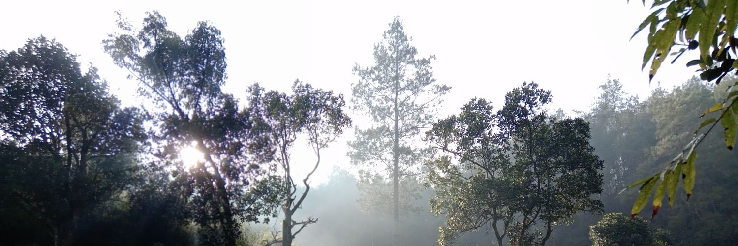 BelegugM's profile banner image