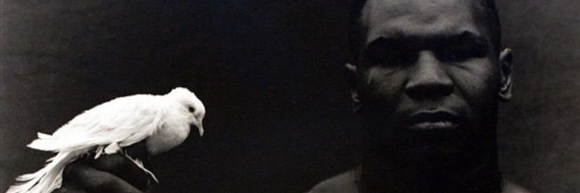 Braz7777's profile banner image