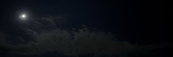 infernalizard Profile Banner