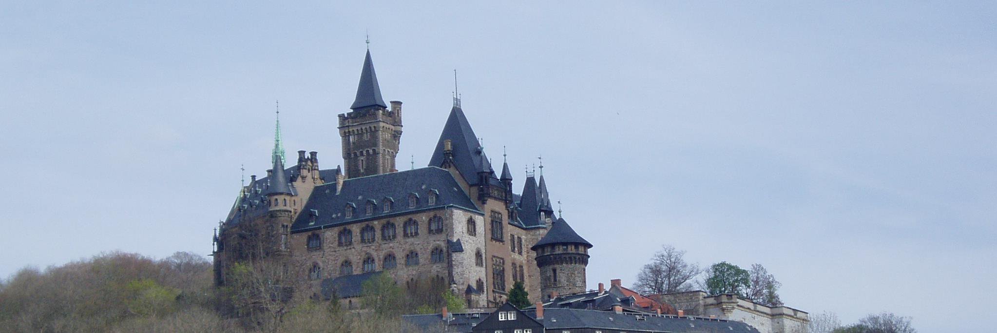 Burghard Helmholdt banner