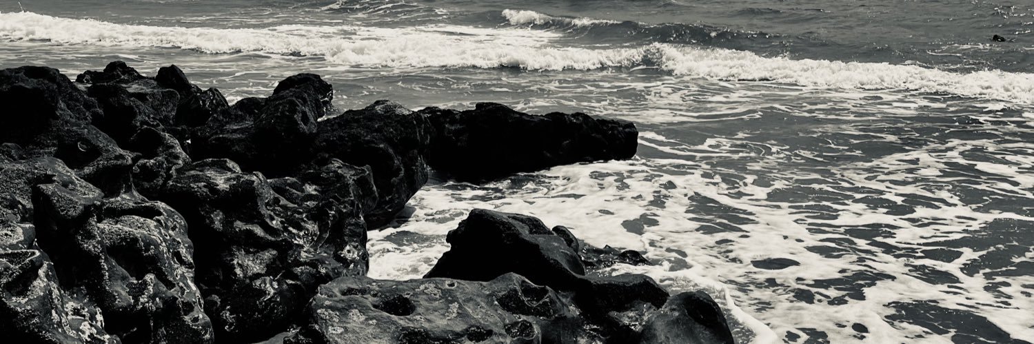 Letiicia_Felipe's profile banner image