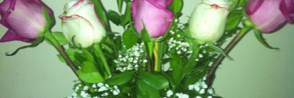 monikapy Profile Banner