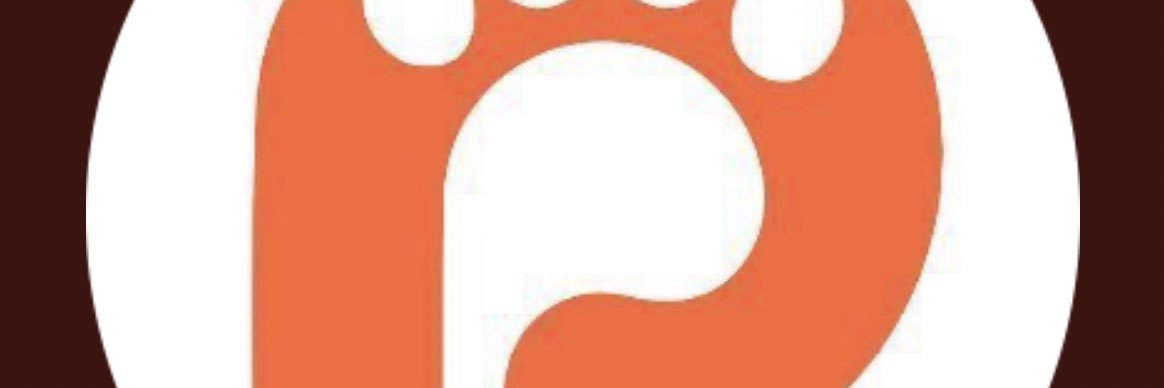 SorareScouting banner