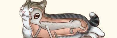 Matsu_Netto's profile banner image