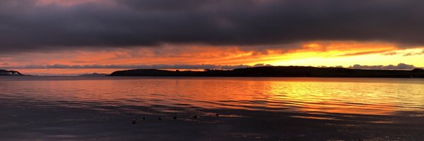 MrsJTeaz Profile Banner