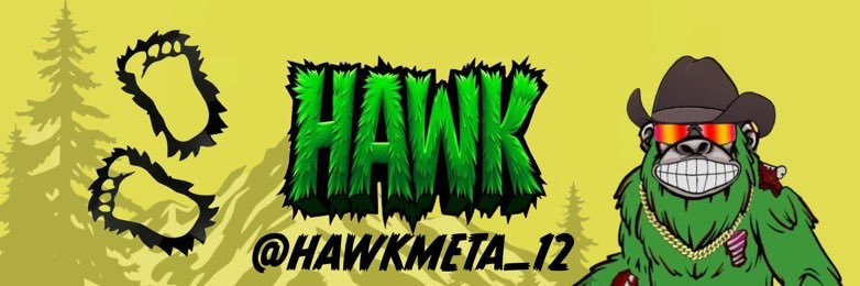 HAWK banner