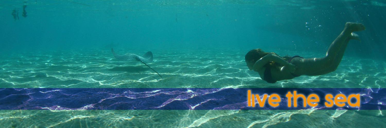 kitepower_es's profile banner image