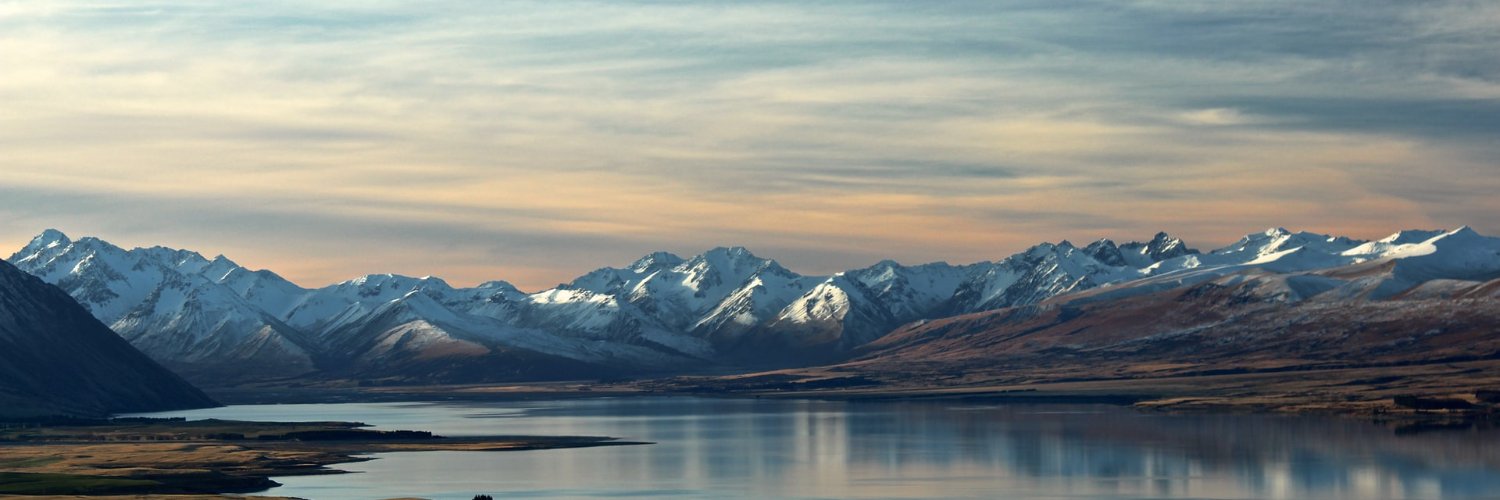 Moa Stake Pool banner