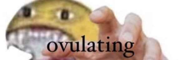 Fen The Scuffed banner