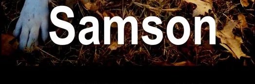 Samson- Canine FCE/Spinal stroke Movie banner