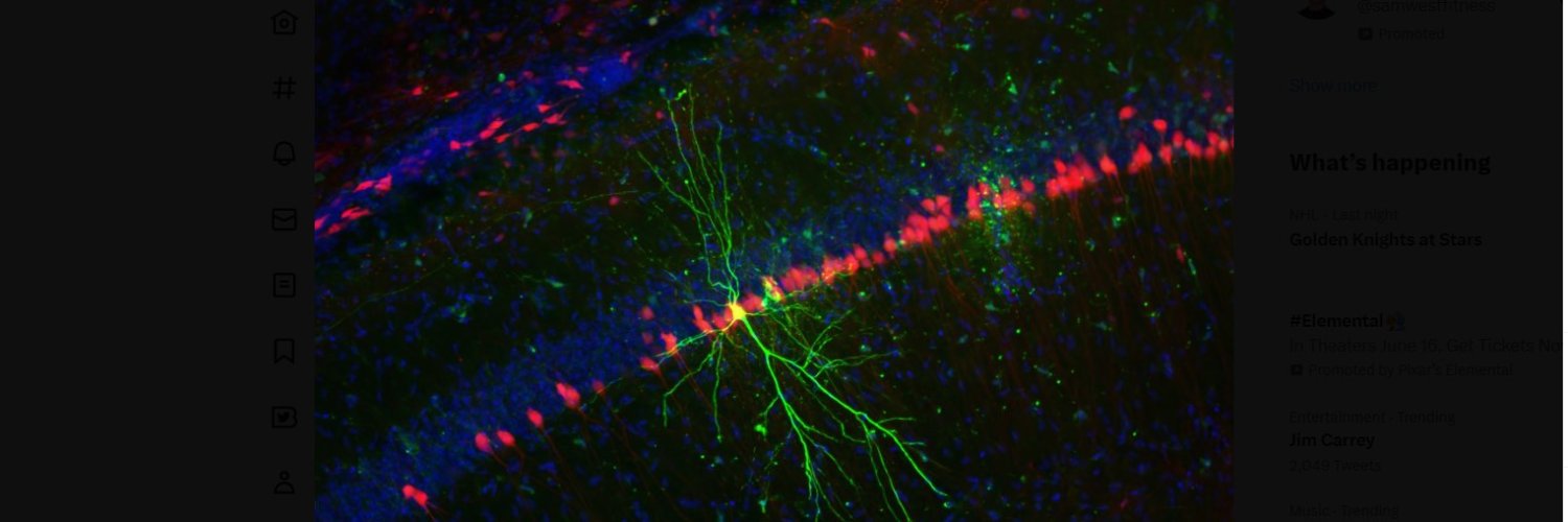 Vanderbilt Pharmacology banner