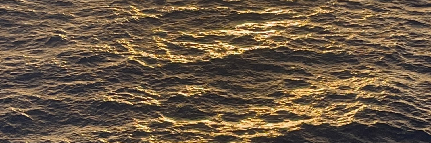 basurto_ari's profile banner image