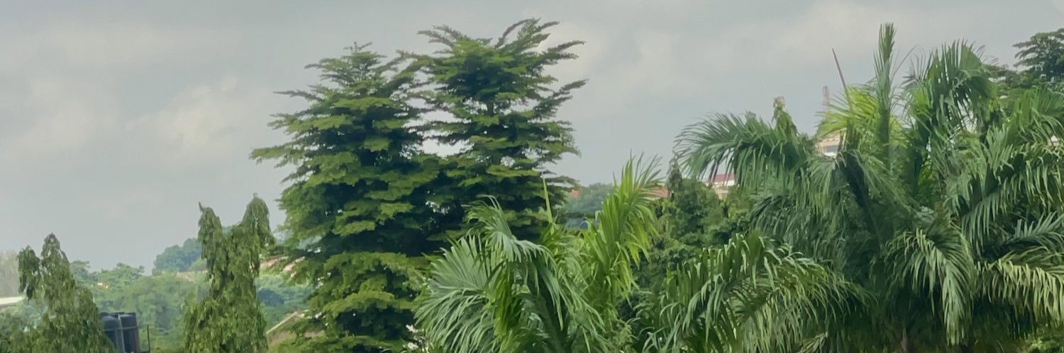 Sardauna's banner