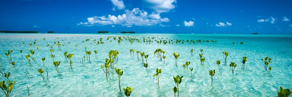 WeAreACPIR Profile Banner