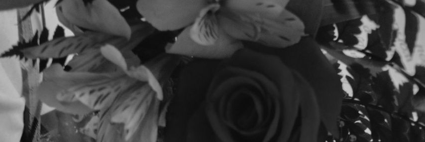 mendonça⁴⁴.★.ᐟ's banner