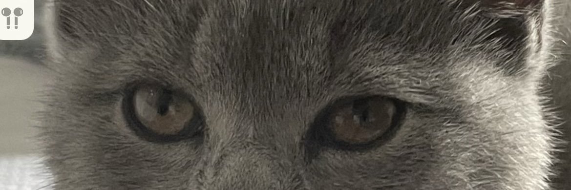 CryptoGeekTrad1's profile banner image